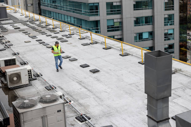 Best Roof Maintenance and Cleaning  in Lakewood, WA