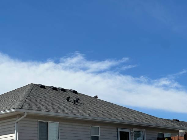 Best Sheet Metal Roofing  in Lakewood, WA